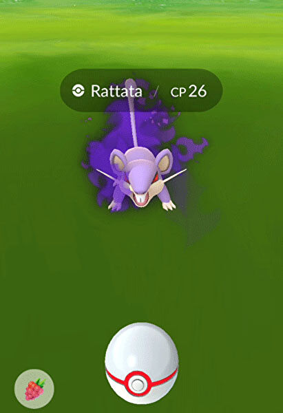 Catch Shadow Pokemon
