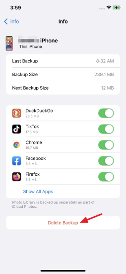 Eliminar la copia de seguridad de Whatsapp 