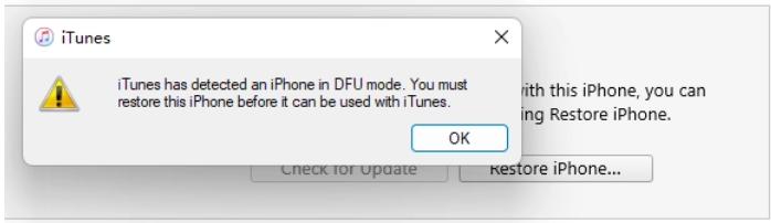 En iTunes haga clic en Restaurar