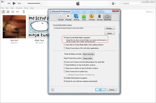 Mantenga la carpeta de iTunes organizada