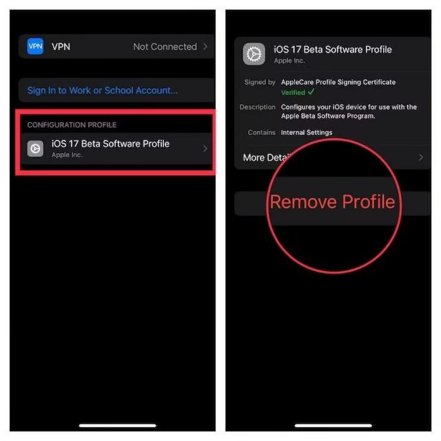 eliminar el perfil beta de iOS