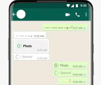 ¿Whatsapp notifica a las capturas de pantalla de la vista una vez?